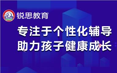 (2025下半年更新)上海锐思教育收费价目表-收费标准