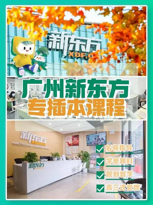 管理类专业解读|参加普通专升本（专插本）一定要了解这些