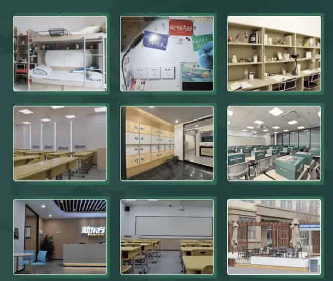 2025广东财经大学专升本影视编导基础考试大纲(校考)