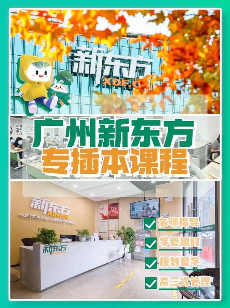 2026 广东专插本较难考的类别