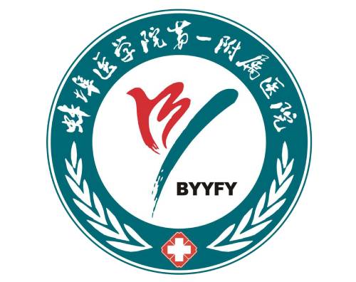 合肥万户助蚌埠医学院第一附属医院打造高端官网