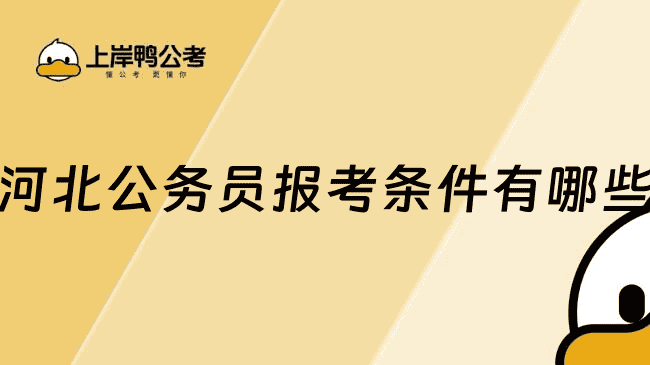 河北公务员报考条件有哪些？报考前必看的硬性门槛