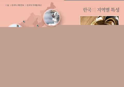 展示宣传型企业网站建设