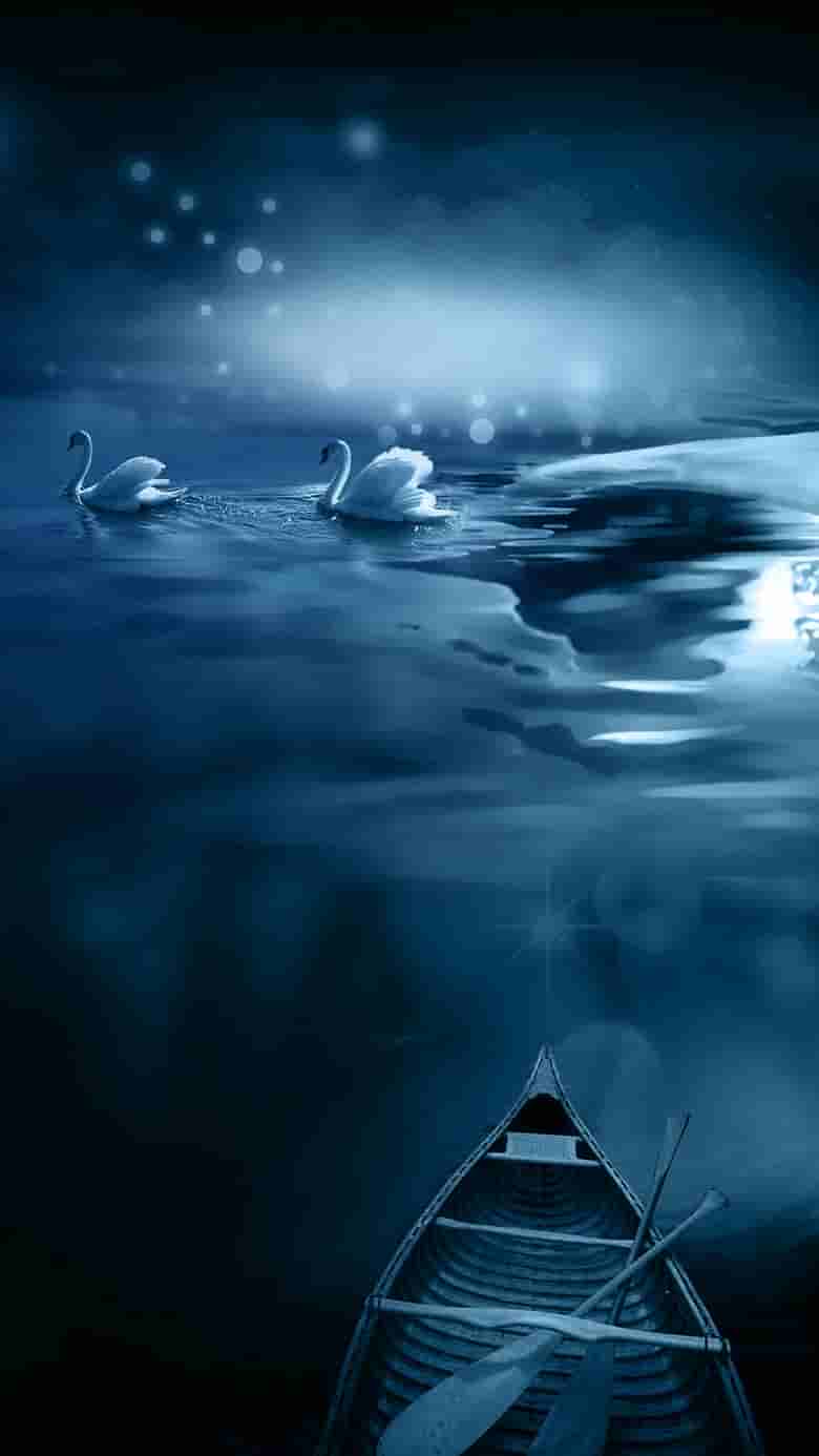 小程序开发和H5的区别