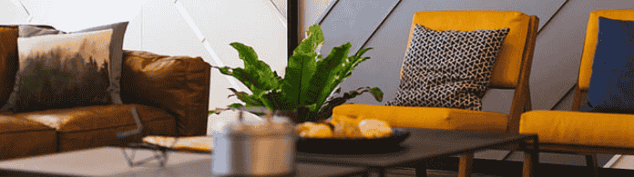 做网站建设的时候为什么会被降权呢？