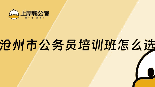 沧州市公务员培训班怎么选