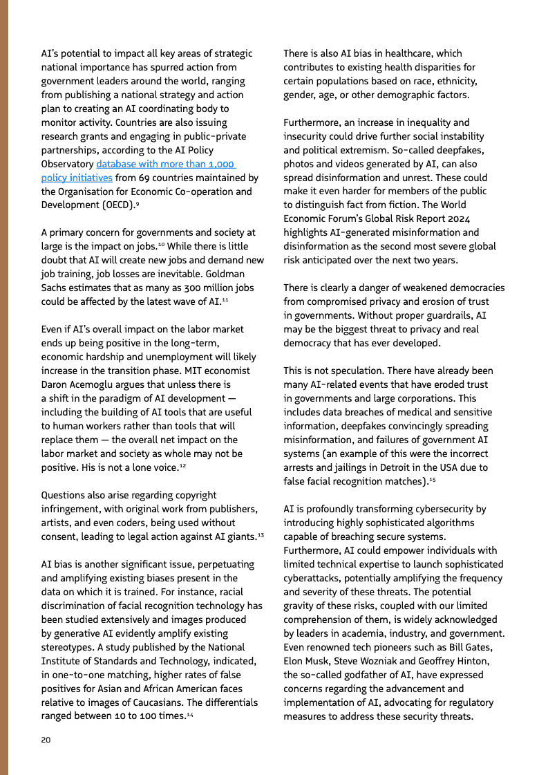 2025年政府人工智能行动路线(图20)