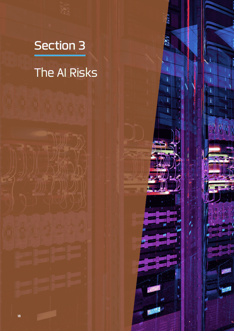 2025年政府人工智能行动路线(图18)