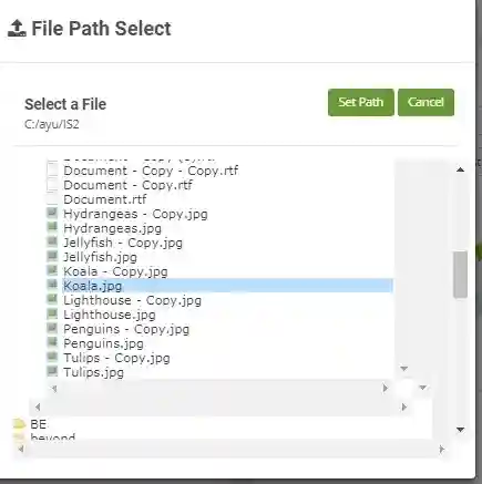 3大致命问题!为什么你的精美网页设计在Windows上变成了灾难?