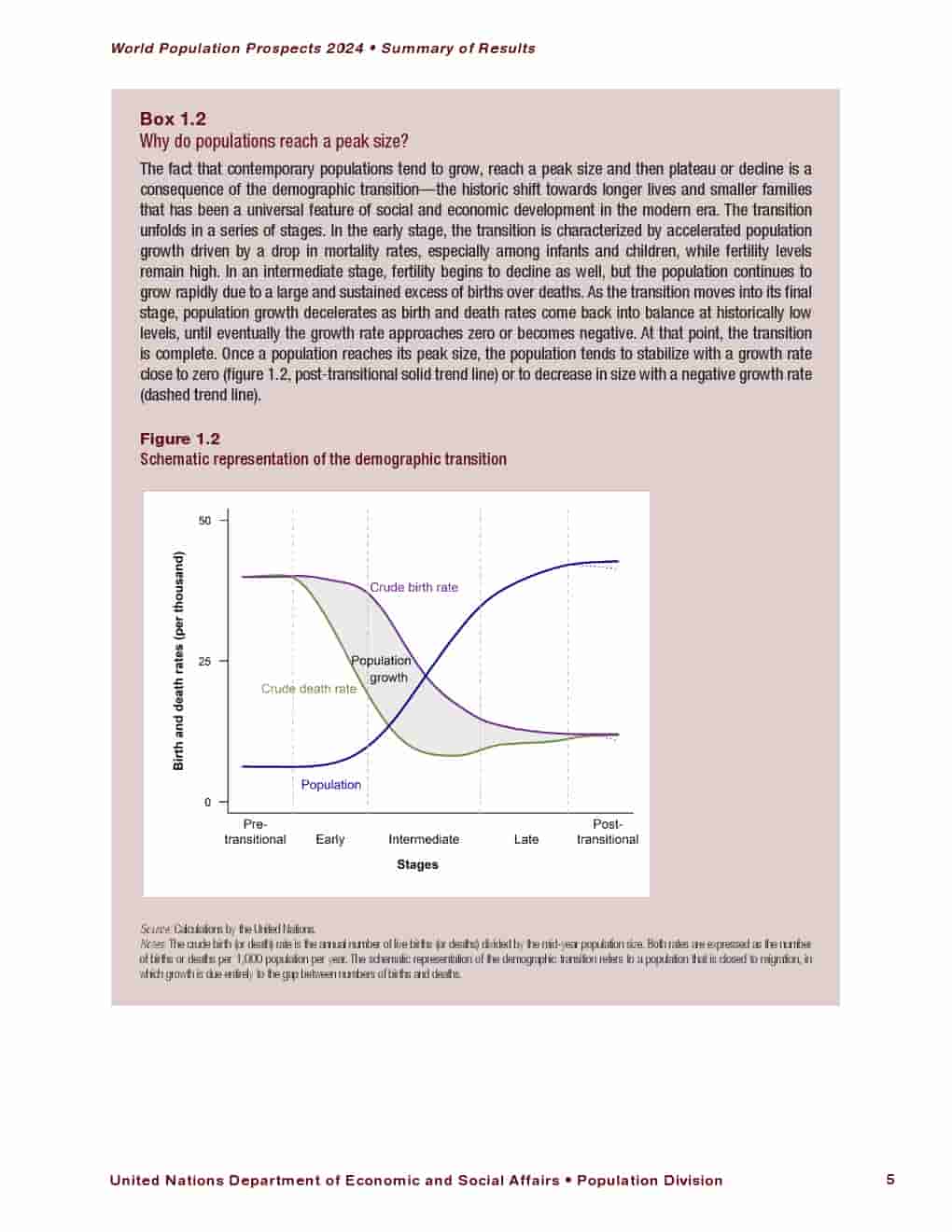 2024年世界人口展望报告(图19)
