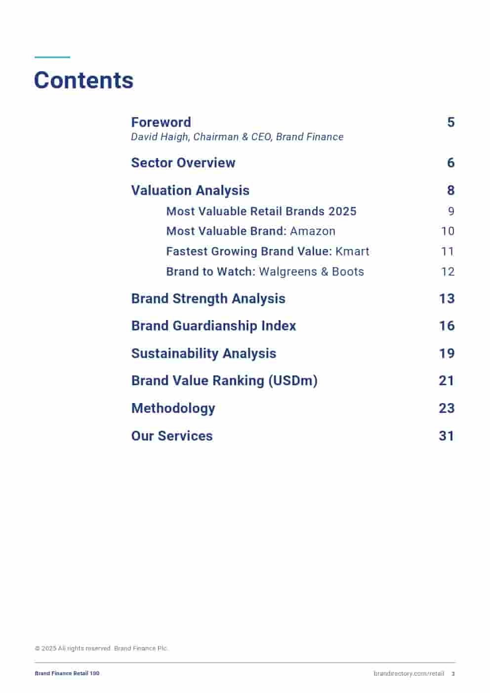 2025年零售品牌100强(图3)