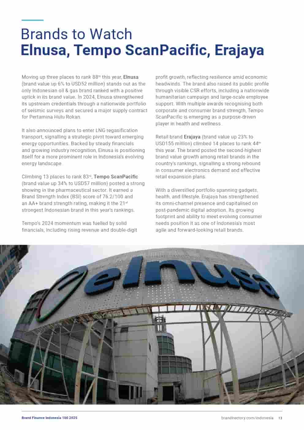 2025年印度尼西亚品牌100强(图13)