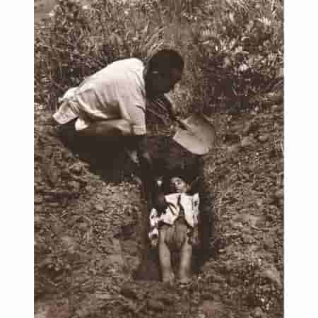 为什么有人会说出“我又不吃袁隆平