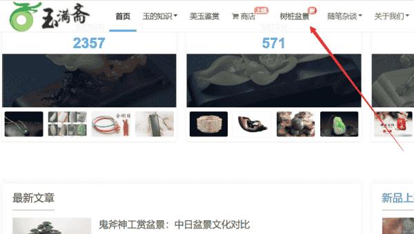 关于开通“树桩盆景”栏目的通知！