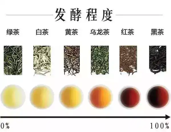 有什么关于茶的冷知识？