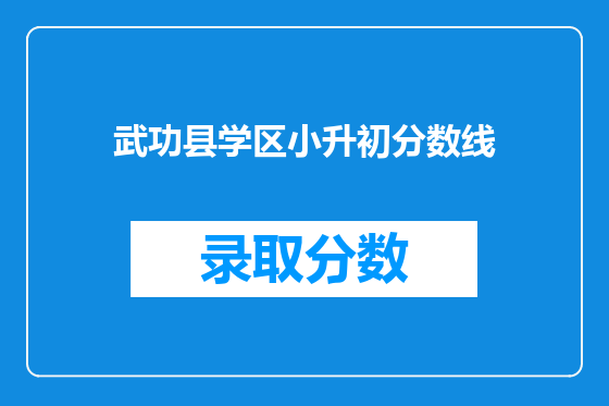 武功县学区小升初分数线