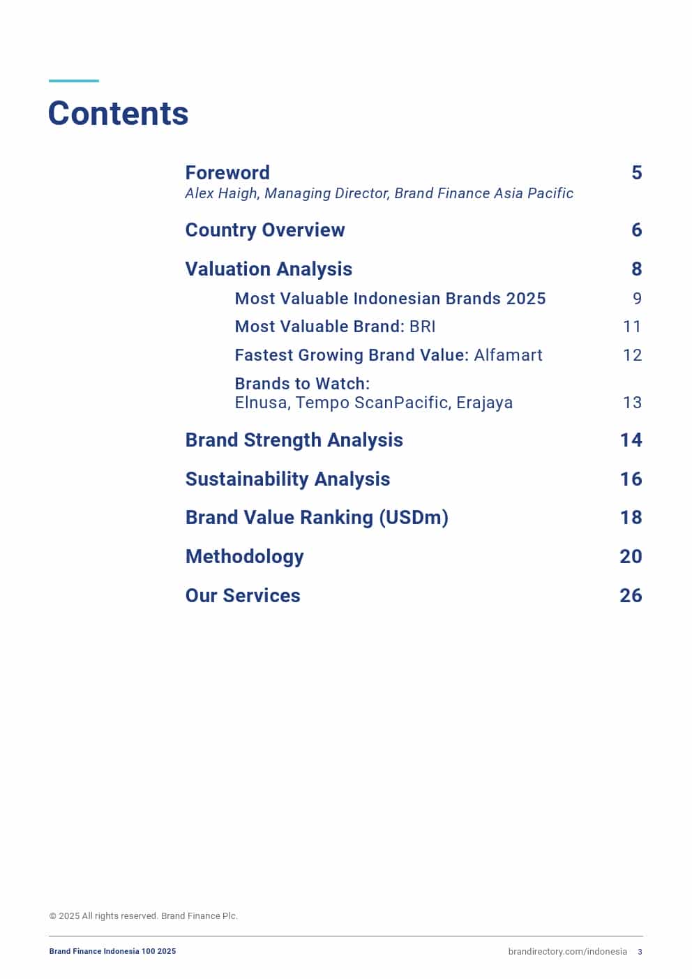 2025年印度尼西亚品牌100强(图3)