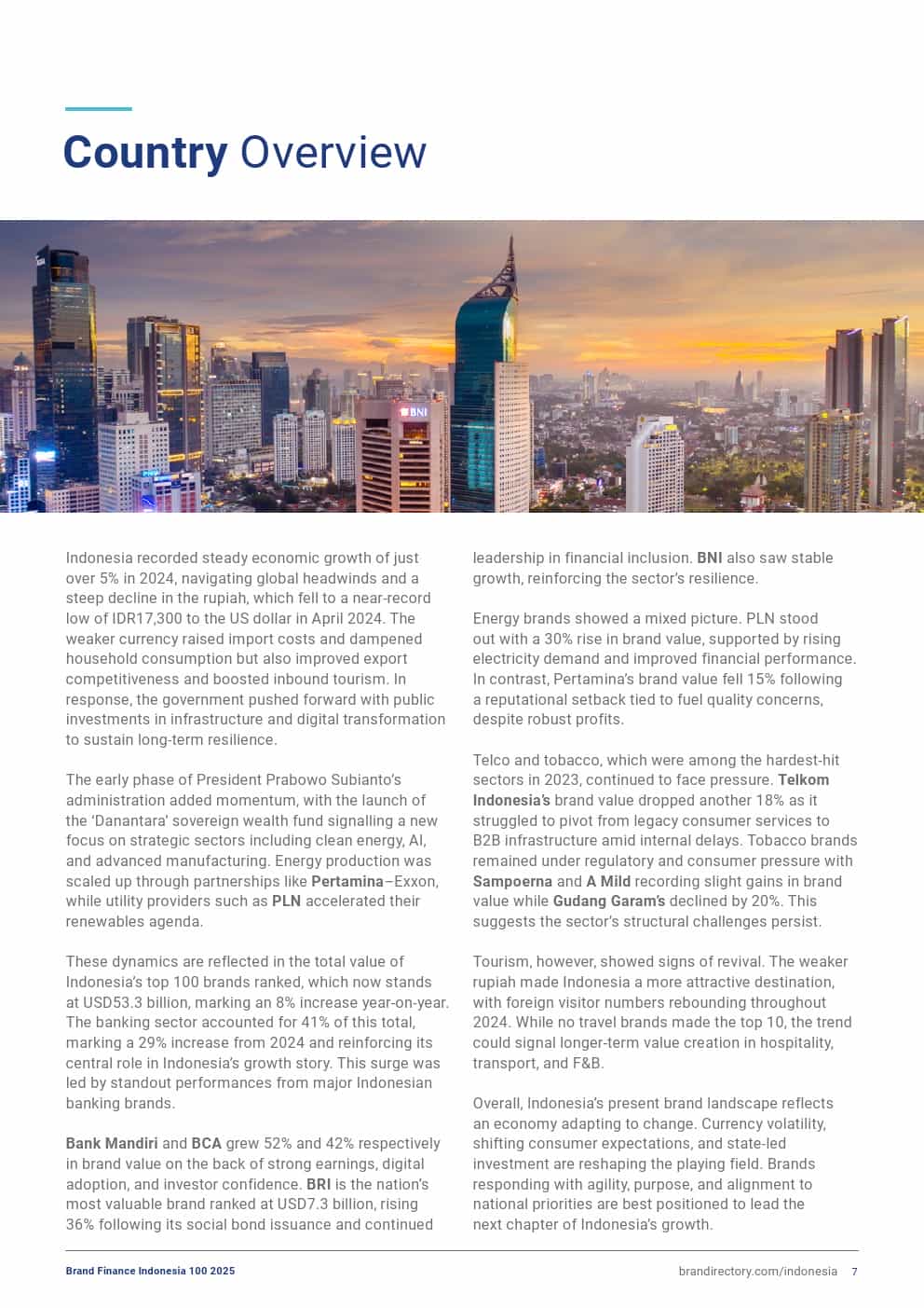2025年印度尼西亚品牌100强(图7)