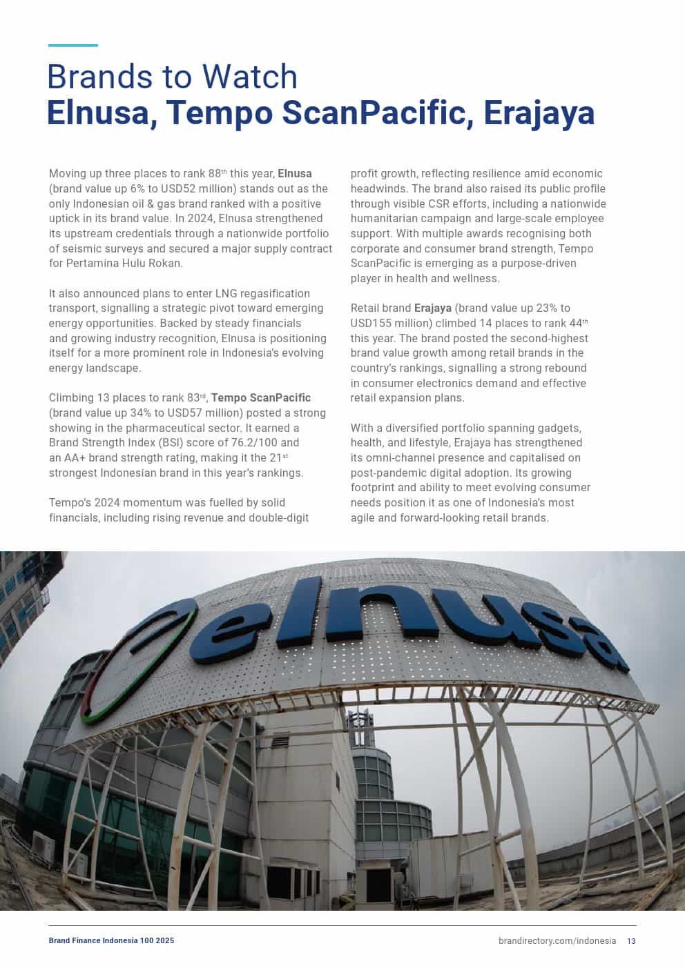 2025年印度尼西亚品牌100强(图13)