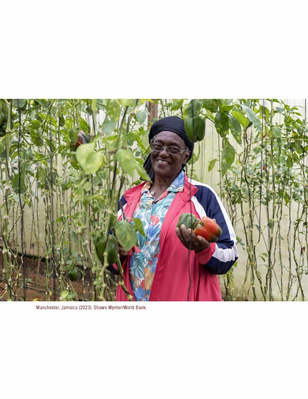 2024年世界人口展望报告（图14）