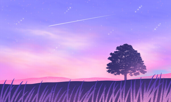 2025南通理工学院康复治疗学专业各省分数线及选科位次 就业前景满意度怎么样_高中学习_高考升学