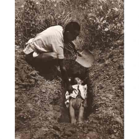 为什么有人会说出“我又不吃袁隆平生产的杂交水稻”这种话？