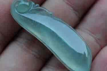 翡翠木那种，飞絮如雪欲婆娑-BG