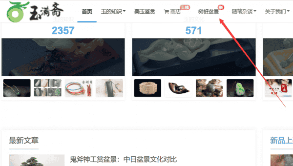 关于开通“树桩盆景”栏目的通知！