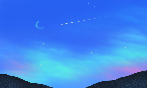 2025河北外国语学院财务管理专业各省分数线及选科位次 就业前景满意度怎么样