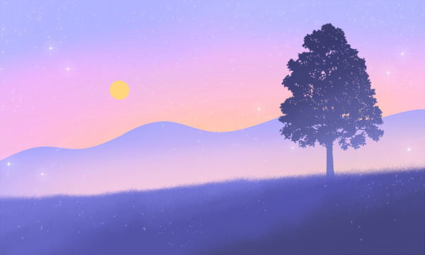 2025广西民族大学汉语国际教育专业各省分数线及选科位次 就业前景满意度怎么样