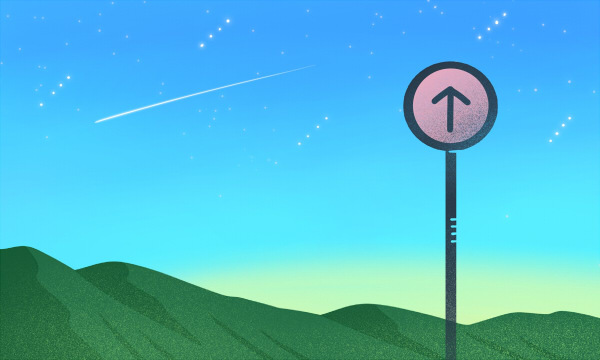 2026选科对应的专业及大学怎么查 