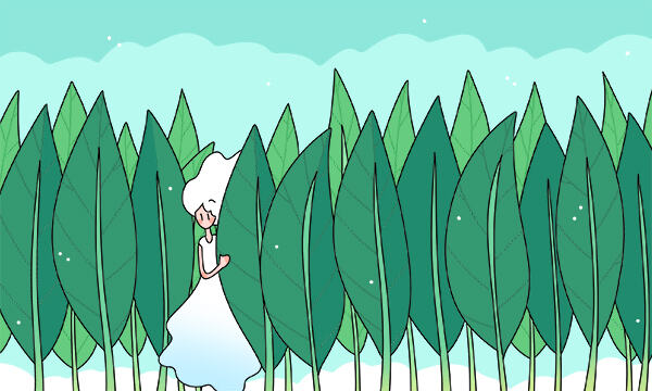 2025山东协和学院审计学专业各省分