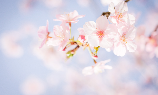 湖南2026高考时间什么时候 具体哪几天考试_高中学习_高考升学