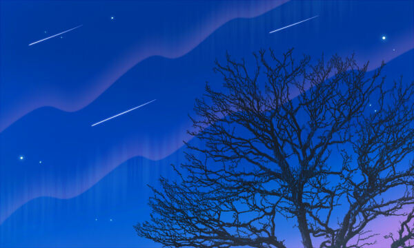 2026甘肃高考总分是多少 各科目分值怎么分布