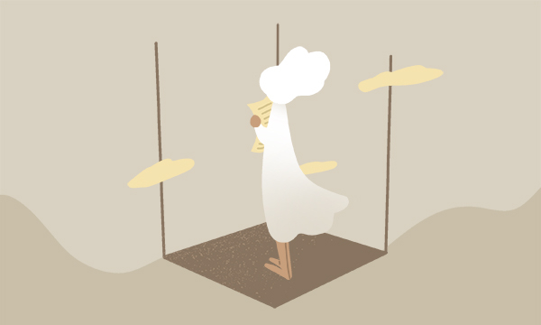 河北历化生447分左右可以上什么大学及专业 冲稳保院校推荐（2026参考）