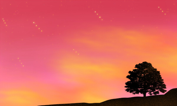 女生考完英语称轻松拿捏:985稳了 2025高考全国卷英语难度_高中学习_高考升学