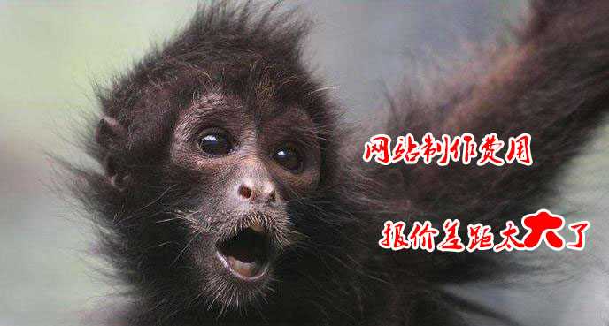 您咨询的<a href='/' target='_blank'><u>天水<a href=https://www.kengniao.com/e/search/result/?searchid=51 target=_blank class=infotextkey>网站</a>制作</u></a>费用差距有点大？
