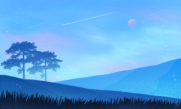 2025保山学院财务管理专业各省分数