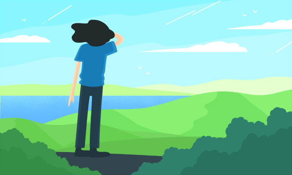 2025安徽财经大学工程造价专业各省